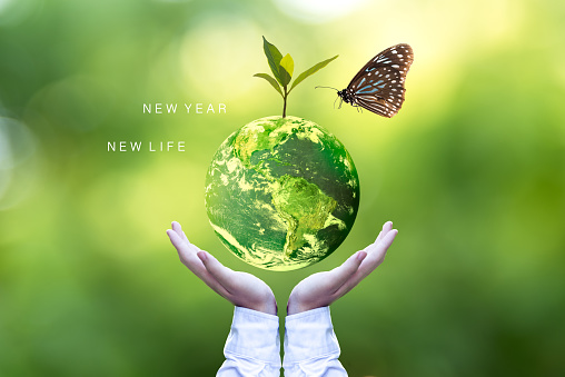 Ecology and Environment Earth.  Planet and tree with butterfly in human hands over green nature ecology, Save the earth concept, Elements of this image furnished by NASA