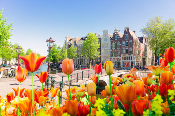 istock Houses of Amstardam, Netherlands 1189337117