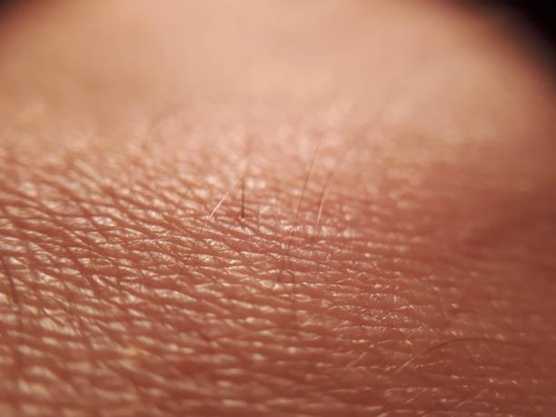 istock Human skin. Macro photo. Close up. 1189337335