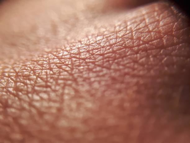istock Pattern of human dark skin with cells and lines texture 1189337893