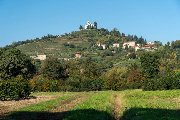 istock The park of Montevecchia and Curone, Italy, at fall 1189338308