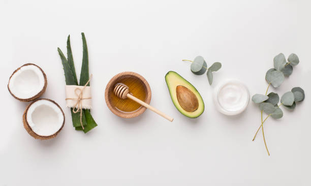 medical plants used in alternative cosmetology: aloe, honey, coconut - leaf epidermis imagens e fotografias de stock