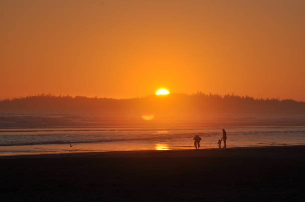 istock Long beach at Vancouver Island, Canada 1189342277