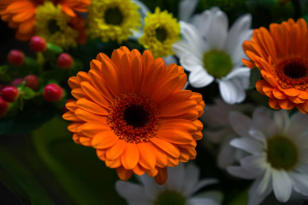 istock A bouquet of flowers. 1189342421