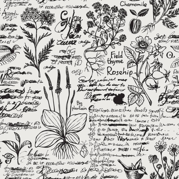한방의학을 주제로 한 매끄러운 패턴 - alternative medicine mortar and pestle herbal medicine herb stock illustrations