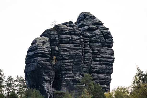 Closeup of rock formations in Saxon Switzerland, Germany