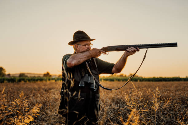 istock Mature male hunter aiming with rifle in meadow at sunset 1189346206
