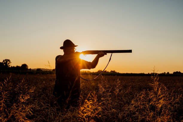 istock Mature male hunter aiming with rifle in meadow at sunset 1189346210