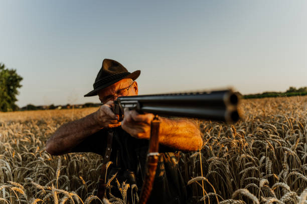 istock View of hunter in field 1189346247