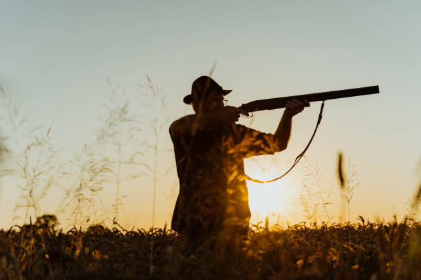 istock Mature male hunter aiming with rifle in meadow at sunset 1189346269
