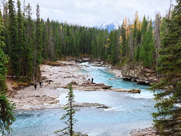 istock Emerald Lake in Yoho National Park 1189346675