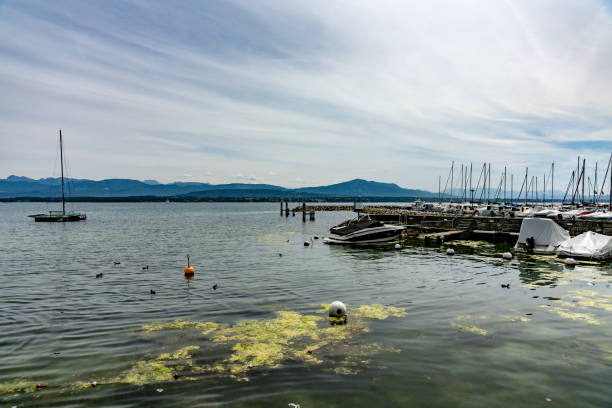 Marina at Prangins on Lake Geneva. There are sailing yachts on the right with a swimming platform in the centre and the Swiss Alps in the background.