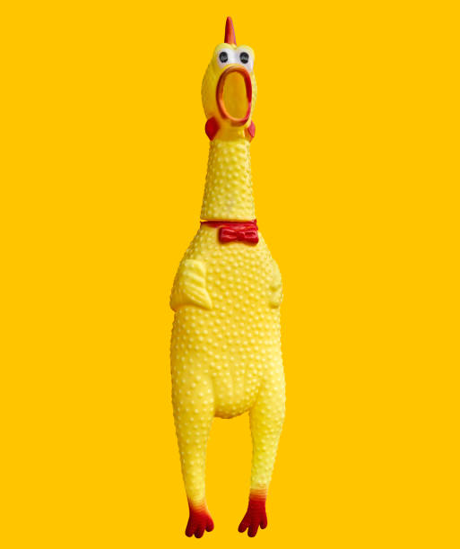 shrilling chicken squeaky toy, chicken dolls are shocked. toy rubber shriek yellow cock isolated on yellow background - chicken isolated yellow young animal imagens e fotografias de stock