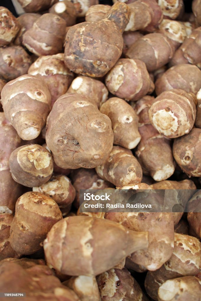 The Jerusalem artichoke, also called sunroot, sunchoke, or earth apple. Antioxidant Stock Photo