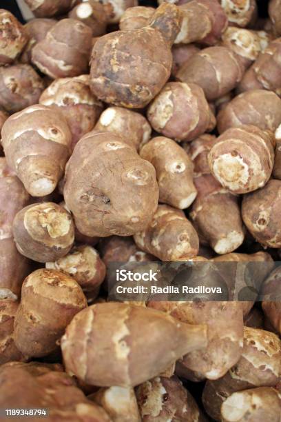 The Jerusalem Artichoke Also Called Sunroot Sunchoke Or Earth Apple Stock Photo - Download Image Now