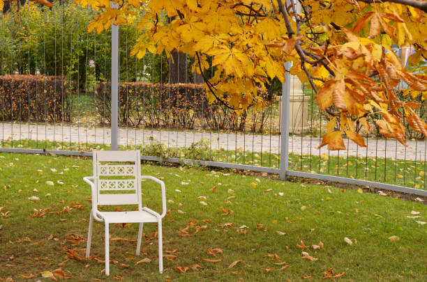 istock white chair on the green grass in the Park 1189353219