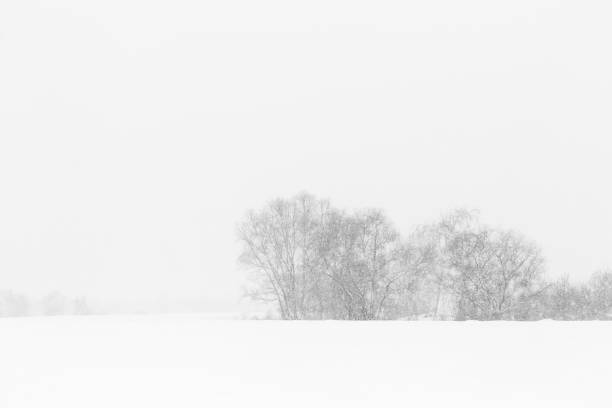 istock Winter landscape. Trees without foliage in a field covered with snow 1189354645