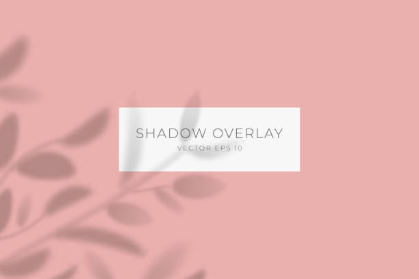 istock Transparent shadow overlay effect for branding. Drop shadow from the branches of plant on flat surface. Background for your design. Vector eps 10. 1189355778