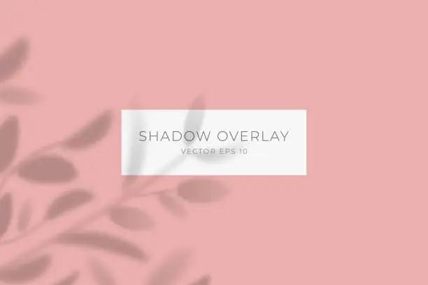 Vector illustration of Transparent shadow overlay effect for branding. Drop shadow from the branches of plant on flat surface. Background for your design. Vector eps 10.
