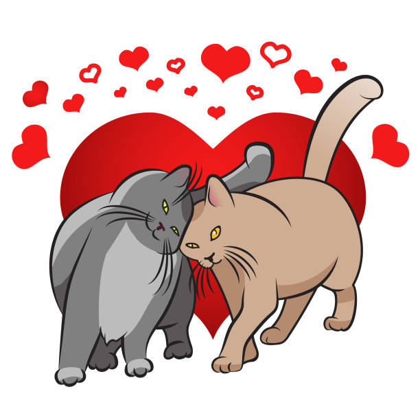 927 Cats In Love Illustrations & Clip Art - iStock | Two cats, Kitten,  Holding hands