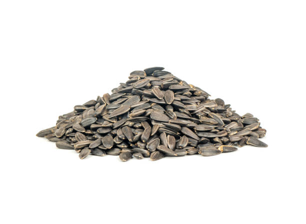 istock Bunch of sunflower seeds 1189358542