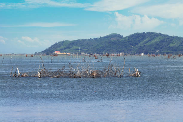 istock Fish trap in Songkhla Lake 1189358782