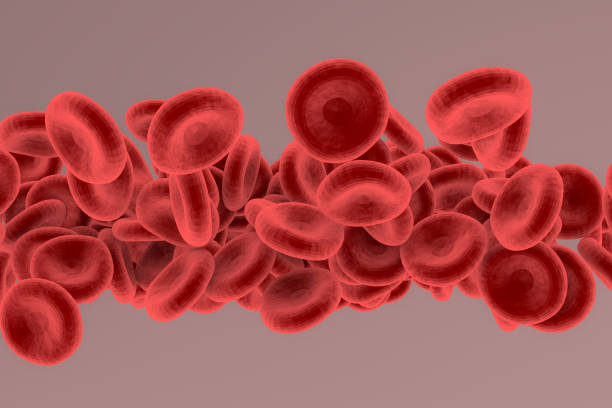 istock 3d rendering of blood cells concept. 1189361549