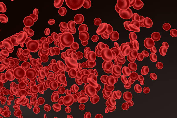 istock 3d rendering of blood cells concept. 1189363057