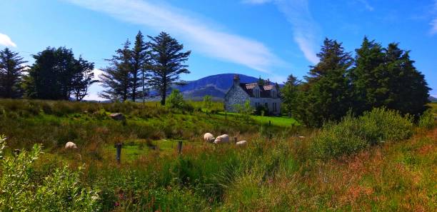 istock Isle of Skye Croft with sheep in field 1189363212