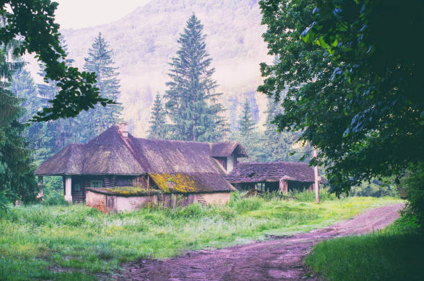 old house in the forest in summer time