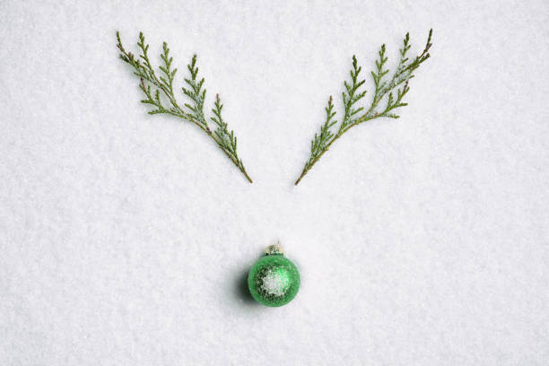 Pine branch green nose reindeer - Christmas Background Nature snow White Photography of a reindeer made of Pine branches and christmas ball on snow, antler photos stock pictures, royalty-free photos & images