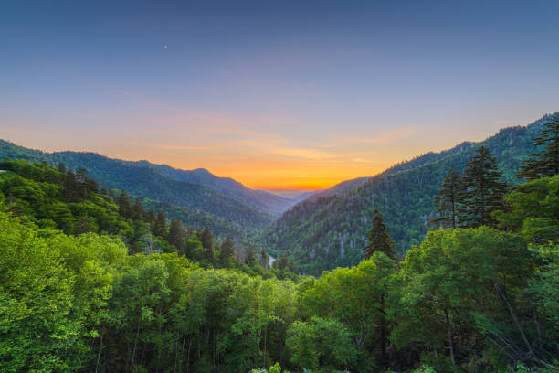 neu entdeckte lücke in den great smoky mountains - newfound gap stock-fotos und bilder