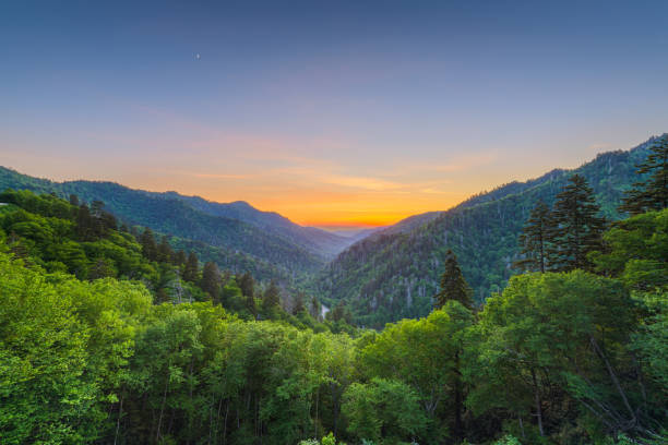 Newfound Gap in the Great Smoky Mountains Newfound Gap in the Great Smoky Mountains National Park, straddling the border of Tennessee and North Carolina after sunset in the summer. newfound gap stock pictures, royalty-free photos & images