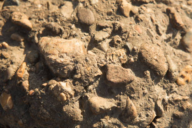 istock abstract background with dry round reeble stones 1189373189