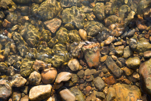 istock Stones under water, wet river stones background 1189373263
