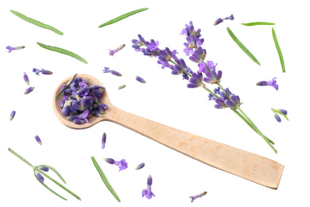 istock lavender flowers isolated on white background. top view 1189374576