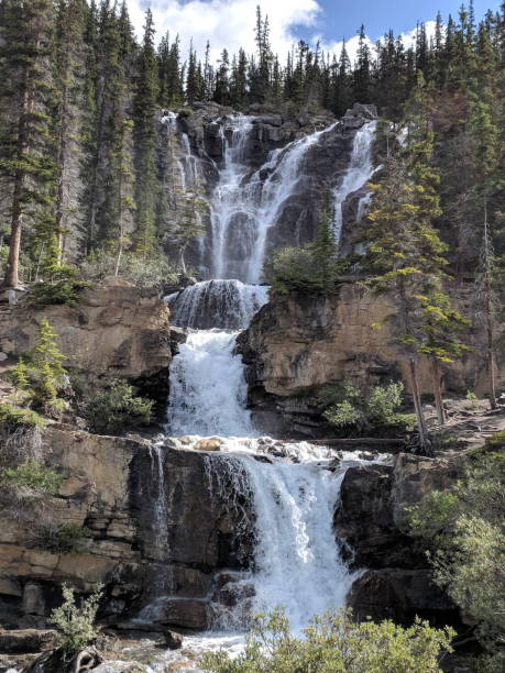 istock Tangle Creek Falls in Jasper National Park 1189374601