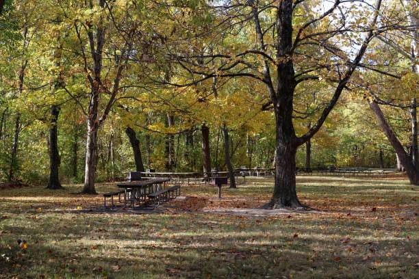 istock Autumn in the Park 1189375689