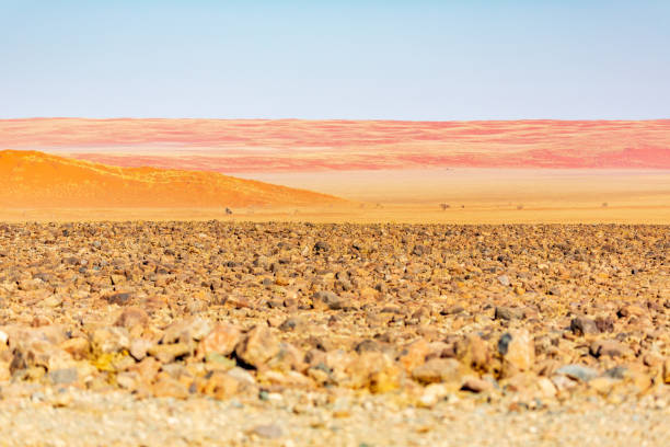 istock namibian landscape and desert 1189378478