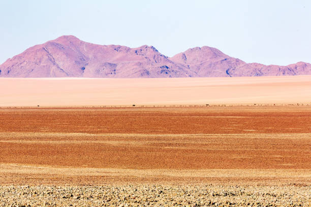 istock namibian landscape and desert 1189378688