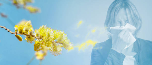 polvere di polline intorno a starnutire donna con fazzoletto - allergy pollen tree hay fever foto e immagini stock