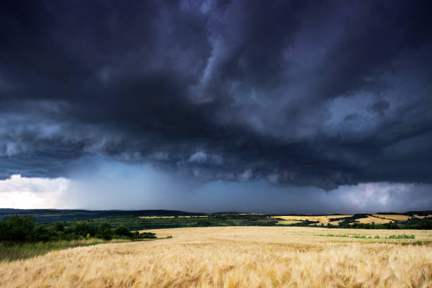 istock Beautifully structured severe thunderstorm in the Bulgarian wheat fields at summer 1189380333
