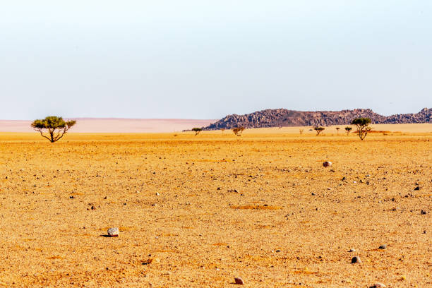 istock namibian landscape and desert 1189383244