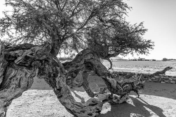 Beauiful mountains, and desert landscapes of Namibia in Africa