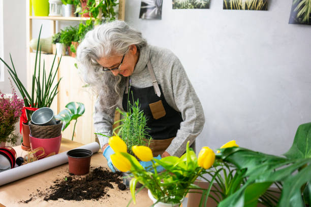istock Senior woman like her plants 1189383467