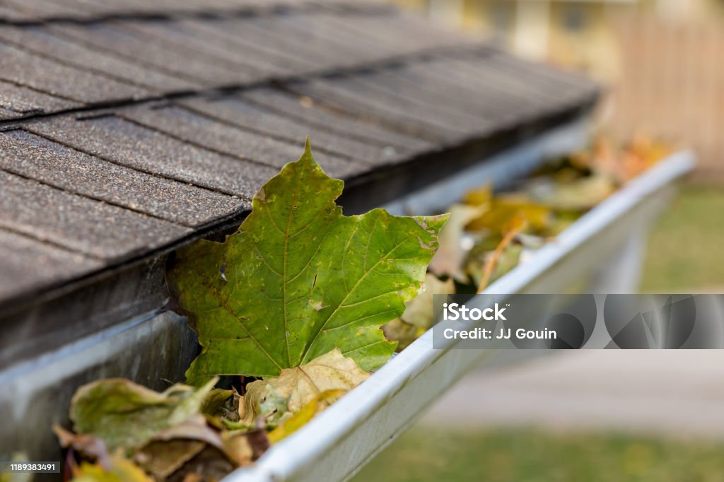 Closeup of house rain gutter clogged with colorful leaves falling from trees in fall. Concept of home maintenace and repair landscape, no people Roof Gutter Stock Photo