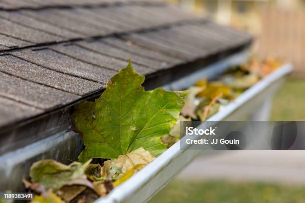 Closeup Of House Rain Gutter Clogged With Colorful Leaves Falling From Trees In Fall Concept Of Home Maintenace And Repair Stock Photo - Download Image Now