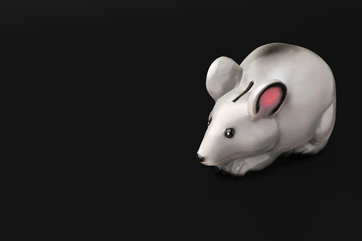 Piggy Bank in the form of a gray mouse or rat sitting to the right on a black background . On the left there is a place under the advertising inscription