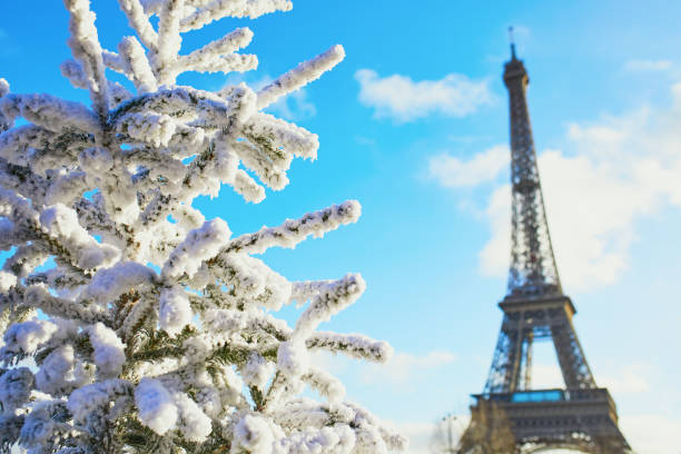 istock Christmas tree covered with snow near the Eiffel tower 1189387900