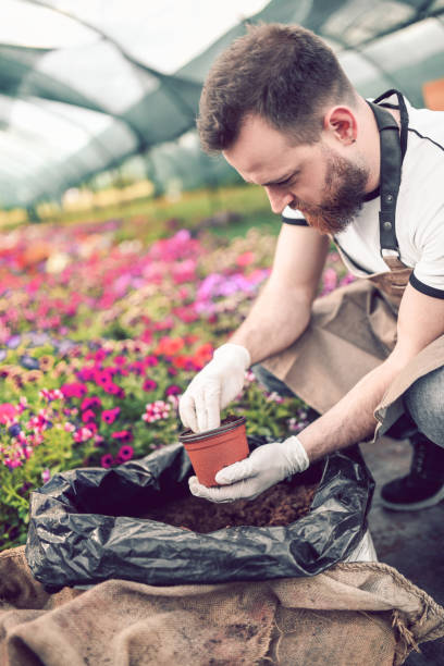 istock Male Gardener Working In His Greenhouse 1189388829